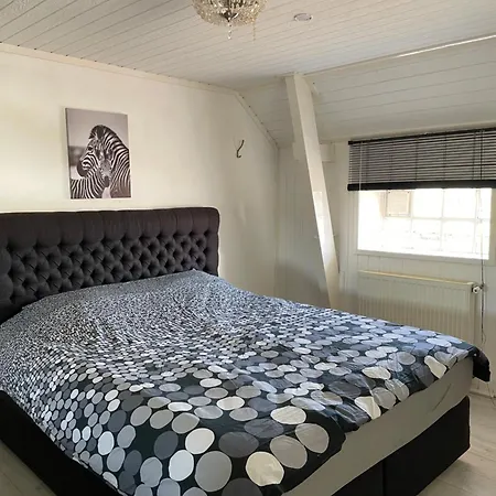 Fijne Woning Op Hippische Accommodatie Aan De Rand Van Dokkum Extérieur photo