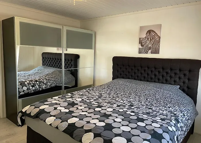 Fijne Woning Op Hippische Accommodatie Aan De Rand Van Dokkum